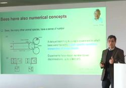 Professor Jacques van Alphen