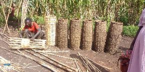 Monmouth Bee Festival