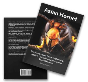 Asian Hornet
