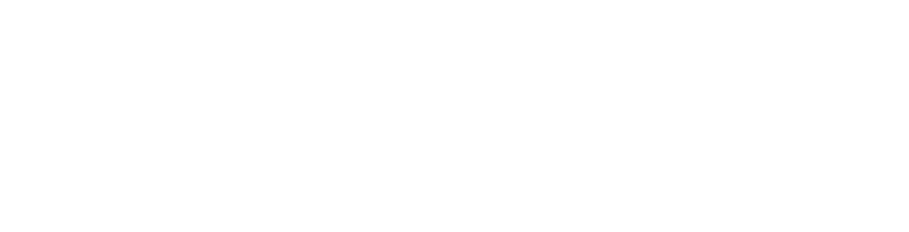 https://www.nysingh.nl