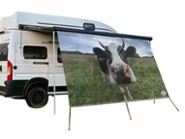 Campidoo Koe Berta 200 x 200 cm voorwand -7mm