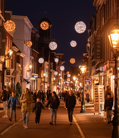 Leiden City pass