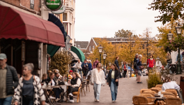 Leiden City pass