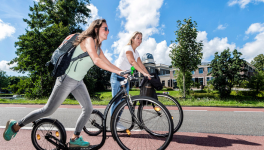 Leiden City pass