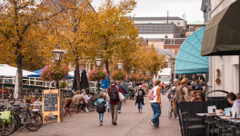 Leiden City pass