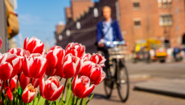 Leiden City pass