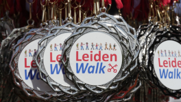 Leiden City pass
