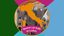 Leiden City pass