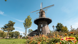 Leiden City pass