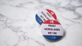 Leiden City pass